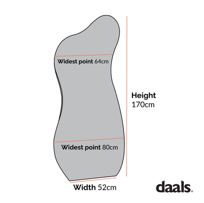 Bala Irregular Shaped Frameless Full Length Pond Mirror 170 x 80 cm